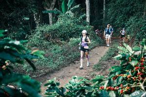 BIB: 
                            <button type="button" onclick="openModal(25797930)" class="btn btn-primary btn-sm float-right btn-popup" data-toggle="modal" data-target=".modal-high-quality">
                        <i class="fas fa-shopping-cart"></i> Add to Cart
                    </button>
                                            <button type="button" onclick="isThisMe(25797930, true)" class="btn btn-success btn-sm float-right btn-popup btn-isme hidden" data-toggle="tooltip" data-placement="bottom" title="นี่คือรูปของคุณใช่ไหม คลิกที่นี่เพื่อเอาเข้าอัลบั้ม">
                        <i class="fas fa-plus"></i> Add to album
                    </button>
                    <button type="button" onclick="isThisMe(25797930, false)" class="btn btn-warning btn-sm float-right btn-popup btn-isnotme hidden">
                        <i class="fas fa-ban"></i> Remove from album
                    </button>